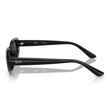 Ray-Ban Sunglasses RB4441D 667787 Black Dark Gray Unisex 2