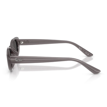 Ray-Ban Occhiali da Sole RB4441D 677787 Grigio Scuro Trasparente Grigio Scuro Unisex 3