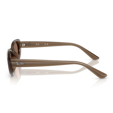 Ray-Ban Gafas de Sol RB4441D 677973 Marrone/Marrone Unisex 2