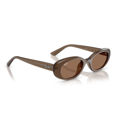 Ray-Ban Gafas de Sol RB4441D 677973 Marrón/Marrón Unisex 4