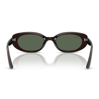 Ray-Ban Occhiali da Sole RB4441D 714 71 Marrone Trasparente Verde Scuro Unisex 4