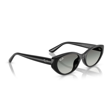Ray-Ban Occhiali da Sole RB4457D 667711 Nero/Grigio Sfumato Unisex 5