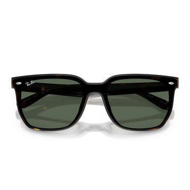 Ray-Ban Occhiali da Sole RB4466D 710 71 Marrone Verde Scuro Unisex 5