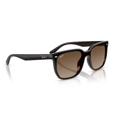 Ray-Ban Sunglasses RB4466D 714/13 Dark Transparent Brown/Brown Gradient Unisex 4