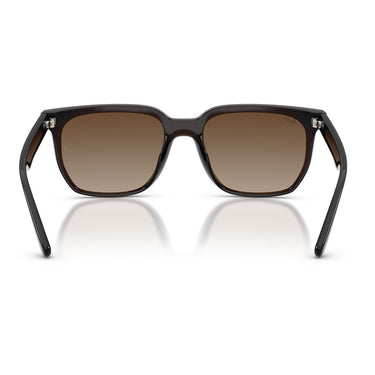 Ray-Ban Sunglasses RB4466D 714/13 Dark Transparent Brown/Brown Gradient Unisex 3