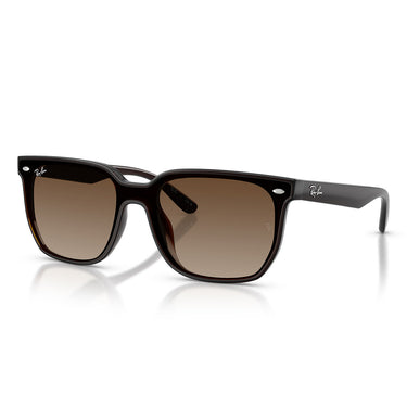 Ray-Ban Sunglasses RB4466D 714/13 Dark Transparent Brown/Brown Gradient Unisex 1