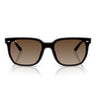 Ray-Ban Sunglasses RB4466D 714/13 Dark Transparent Brown/Brown Gradient Unisex