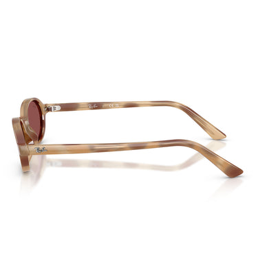 Ray-Ban Occhiali da Sole RB4472 685675 Marrone Crema Violetto Scuro Unisex  3