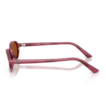 Ray-Ban Occhiali da Sole RB4472 685773 Marrone Violetto Marrone Scuro Unisex   3