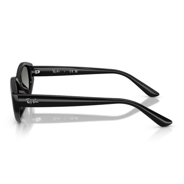 Ray-Ban Okulary Przeciwsłoneczne RB4473D 667711 Czarny/Gradient Szary Unisex