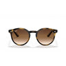 Ray-Ban Occhiali da Sole RJ9064S 152 13 Marrone Marrone Scuro Bambini 