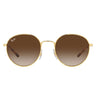 Ray-Ban Sunglasses RB3681 001/13 Gold/Brown Unisex