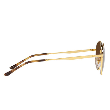 Ray-Ban Sunglasses RB3681 001/13 Gold/Brown Unisex 7