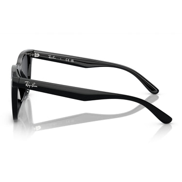 Ray-Ban Occhiali da Sole RB4420 601/87 Nero/Grigio Scuro Unisex4