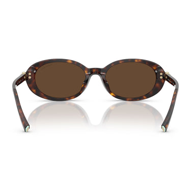 Tiffany & Co. Sunglasses TF4242D 80153G Havana/Light Brown Women 3