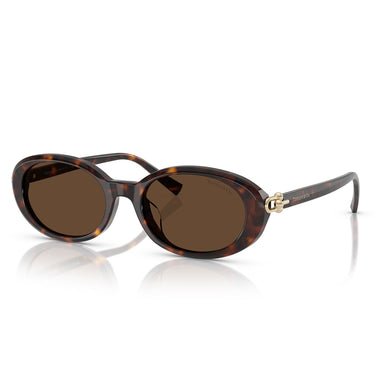 Tiffany & Co. Sunglasses TF4242D 80153G Havana/Light Brown Women 1