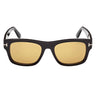 Tom Ford Sunglasses FT1303 01E Smith Black/Brown Unisex